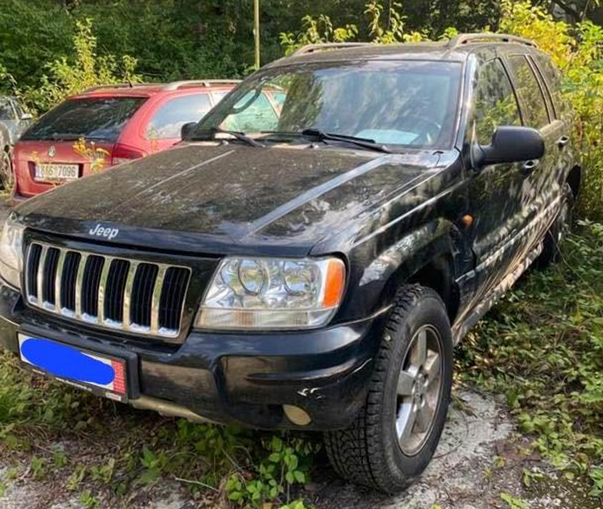 На Закарпатье разоблачили схему ввоза автомобилей под видом гуманитарной помощи