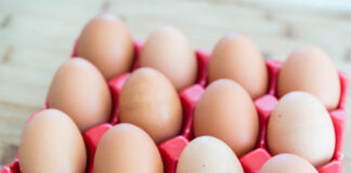 Яйца в Украине будут стоить еще дешевле: экономисты спрогнозировали цены на продукт в августе - today.ua