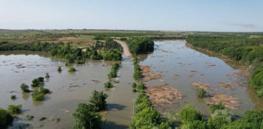 Українці можуть отримати до 100 000 грн за втрачений врожай: кому виплатять компенсації - today.ua