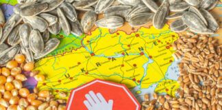 Польща може потрапити під санкції Євросоюзу через ембарго на імпорт українського зерна - today.ua