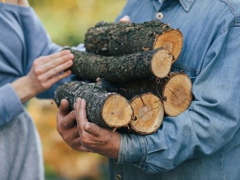 Украинцы могут получить бесплатные дрова на зиму: кто имеет право на такую помощь