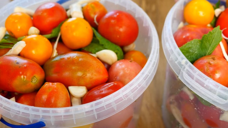 На вкус не хуже бочковых: рецепт квашеных помидоров в пластиковом ведре