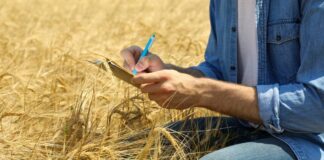 Потрібно встигнути до 31 жовтня: в Україні продовжили термін реєстрації на отримання компенсацій за втрачений врожай - today.ua