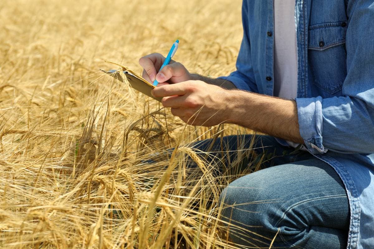 Потрібно встигнути до 31 жовтня: в Україні продовжили термін реєстрації на отримання компенсацій за втрачений врожай