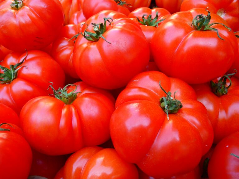В Україні дорожчають томати та картопля: аналітики розповіли, з чим пов'язаний ріст цін на овочі - today.ua