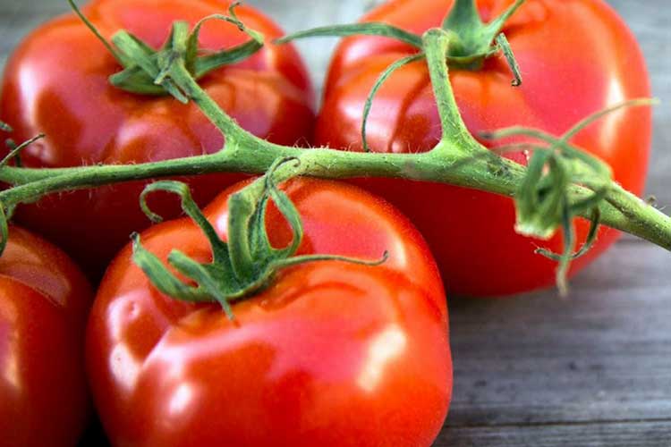 На ринках стали рости ціни на помідори: чи варто чекати їхнього зниження