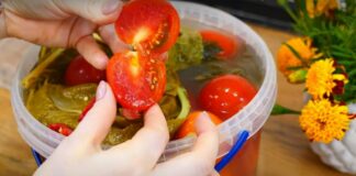На вкус не хуже бочковых: рецепт квашеных помидоров в пластиковом ведре - today.ua