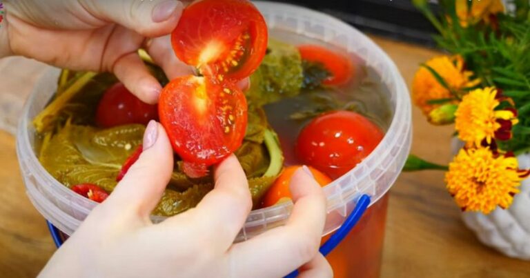 На смак не гірше за бочкові: рецепт квашених помідорів у пластиковому відрі - today.ua