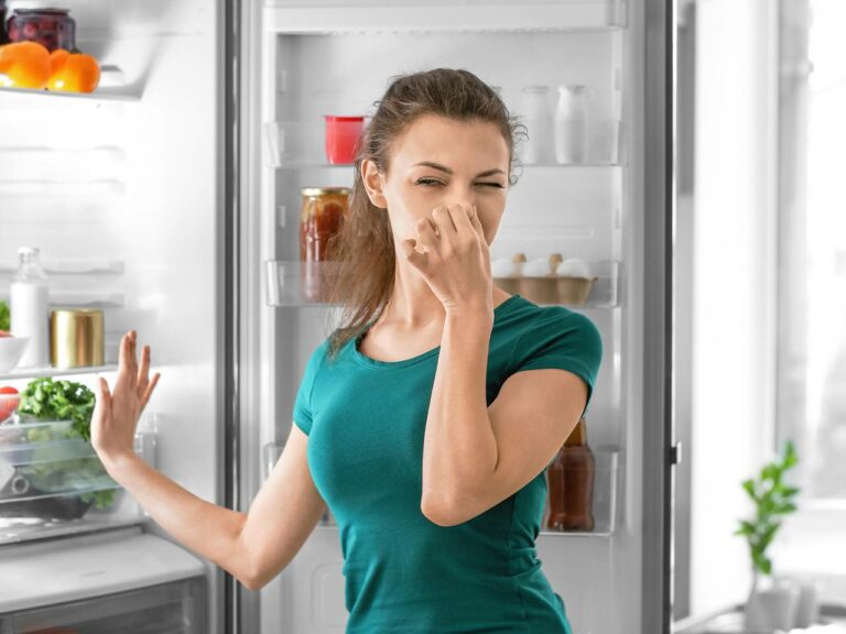 Чим вимити холодильник, щоб позбутися неприємного запаху: три копійчані засоби - today.ua