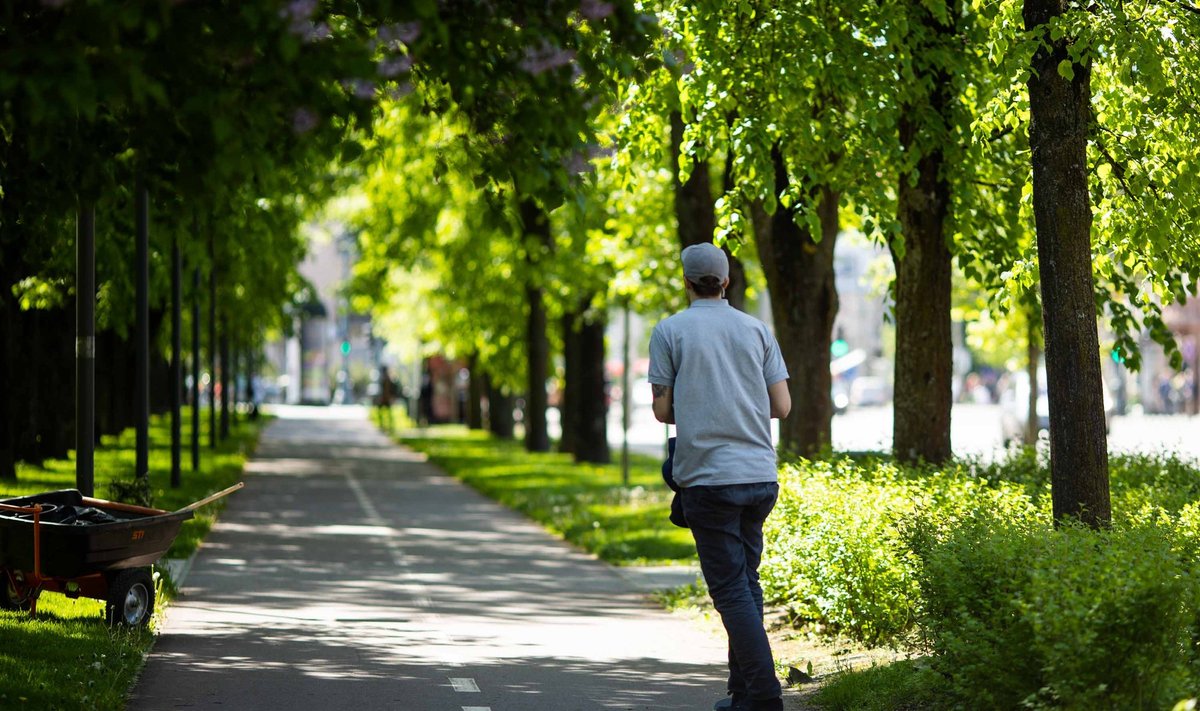 В Украину вернется летняя жара: синоптики рассказали, где и когда потеплеет до +30