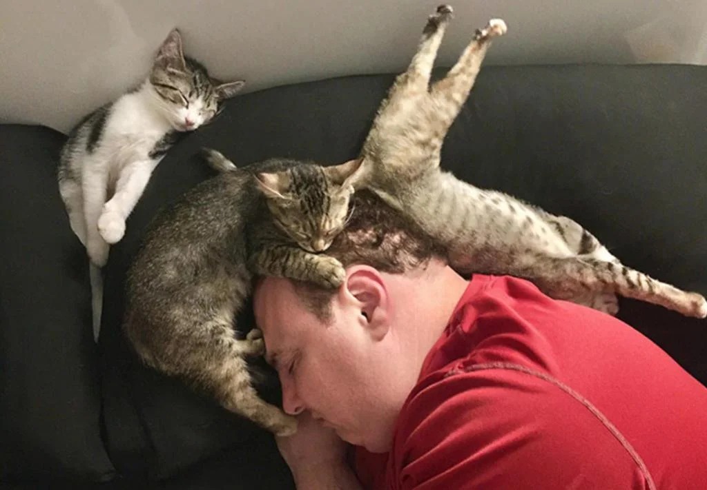 Консультант по поведению кошек раскрыл неожиданную причину, почему питомцы спят на человеке
