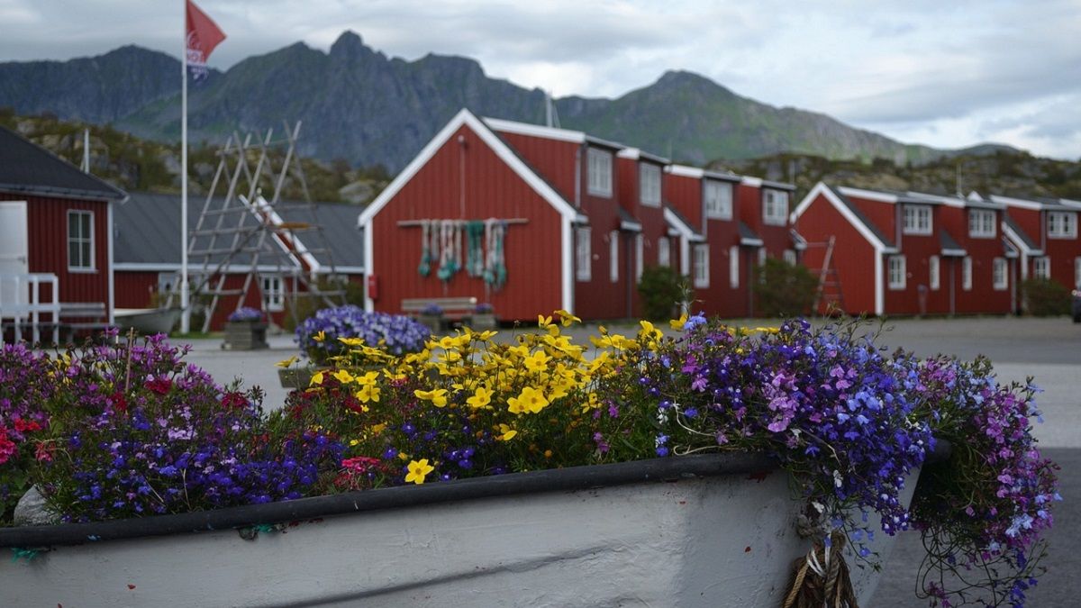 Европейская страна выплатит украинцам помощь 1500 евро, чтобы они вернулись домой