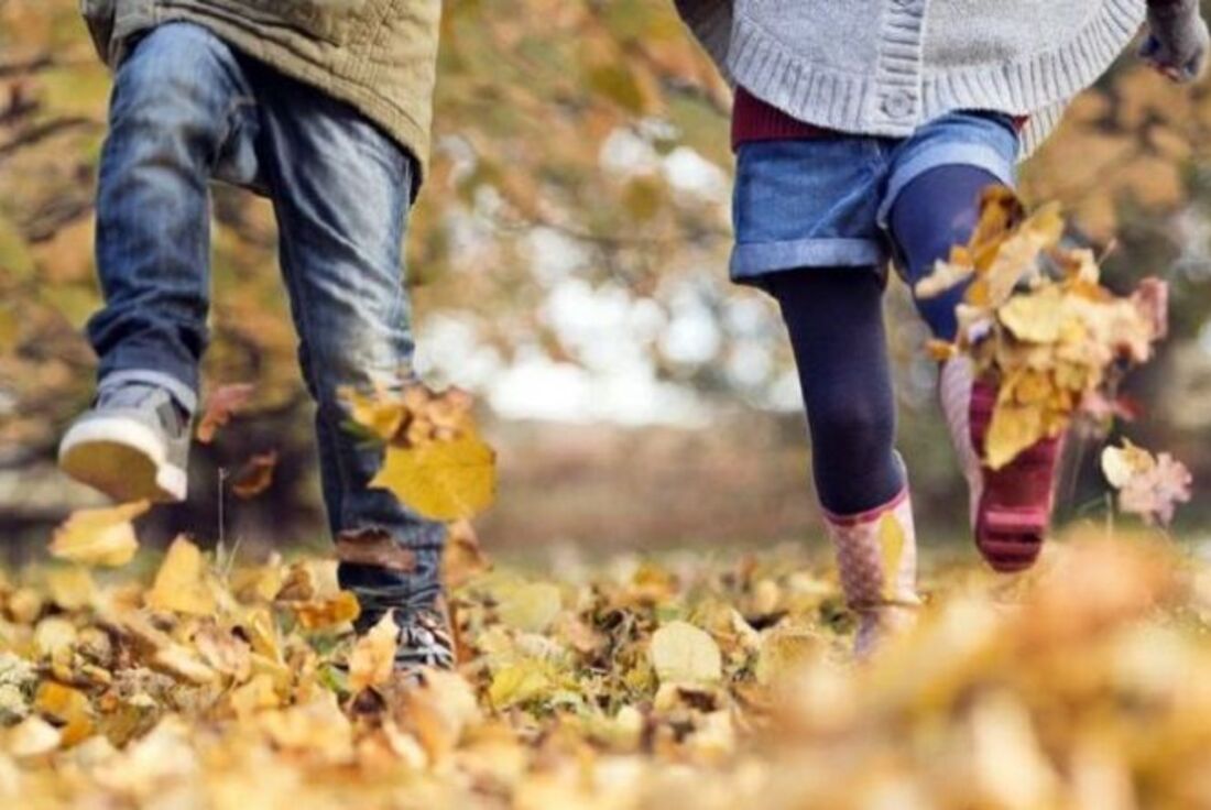 В украинских школах отменили осенние каникулы: названы регионы, в которых дети продолжат обучение - today.ua