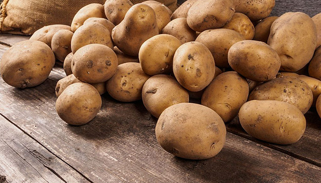 В Україні почалося стрімке зростання цін на картоплю: з'явились прогнози щодо подальшої вартості цього овочу