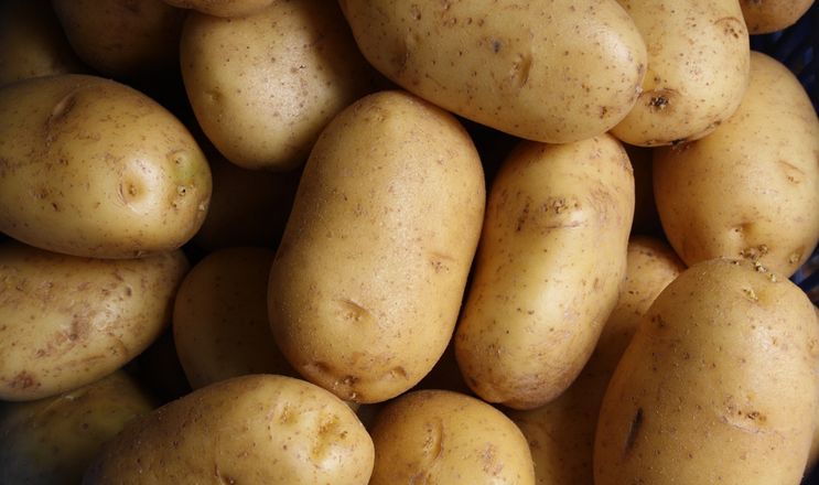 Ціни на картоплю стрімко ростуть: чи можна розраховувати на їхню стабілізацію