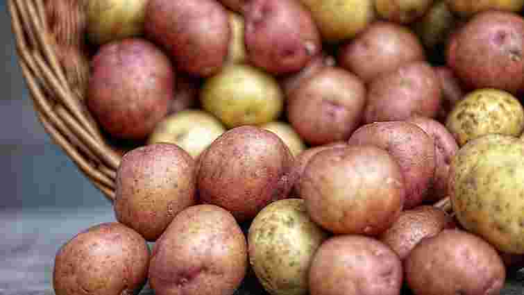 Ціни на картоплю стрімко ростуть: чи можна розраховувати на їхню стабілізацію - today.ua