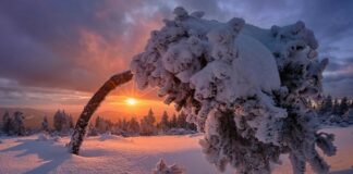 В Украине начались необратимые изменения климата: метеорологи обещают теплую погоду зимой - today.ua