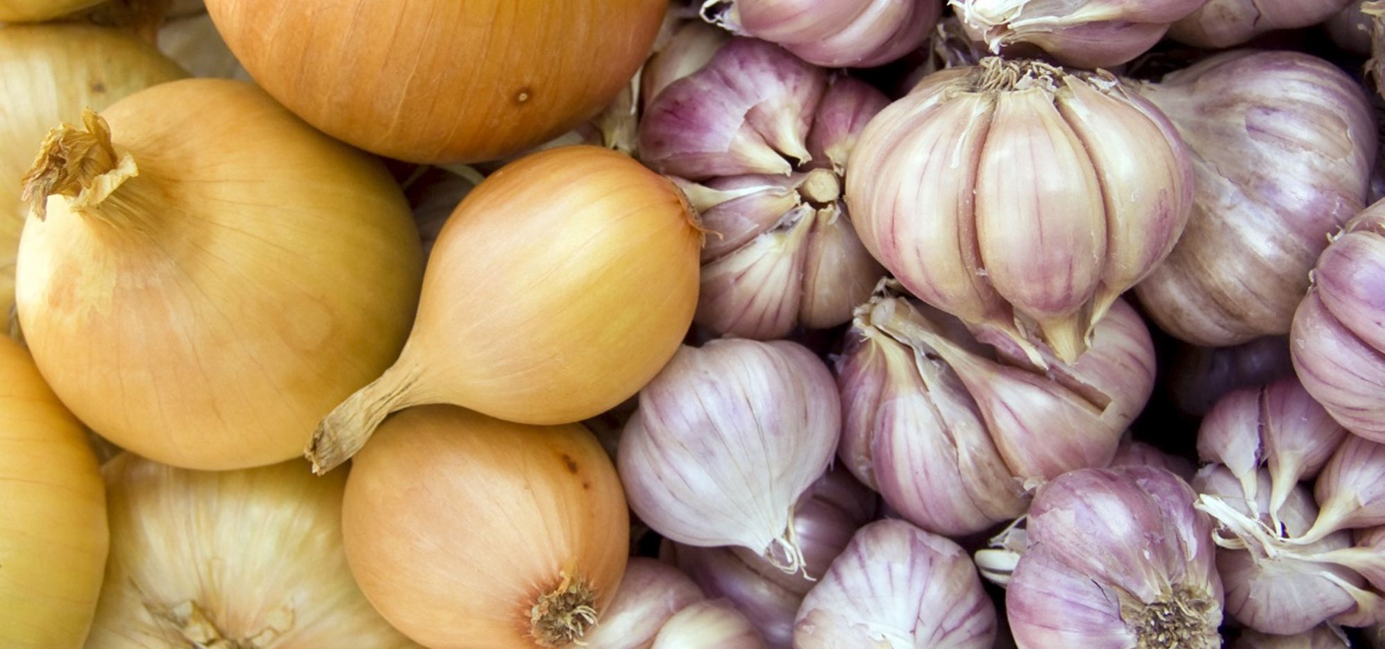 Как хранить лук и чеснок в квартире, чтобы они не плесневели: советы от эксперта по питанию
