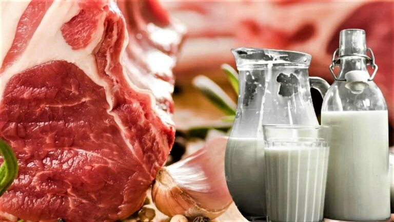 Українців попередили про різке подорожчання м'яса та молочки: названо причини стрибка цін - today.ua
