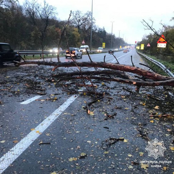 Відключення електроенергії, зірвані дахи, повалені дерева: з регіонів України надходять повідомлення про наслідки аномального вітру