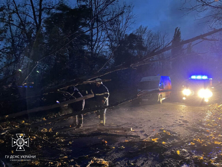 Стали известны трагические последствия шторма в Украине: по меньшей мере трое погибших, задержка поездов и сотни тысяч людей без света - today.ua