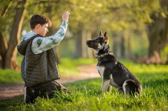 Прогулки с собакой – лучший отдых от школьных уроков - today.ua