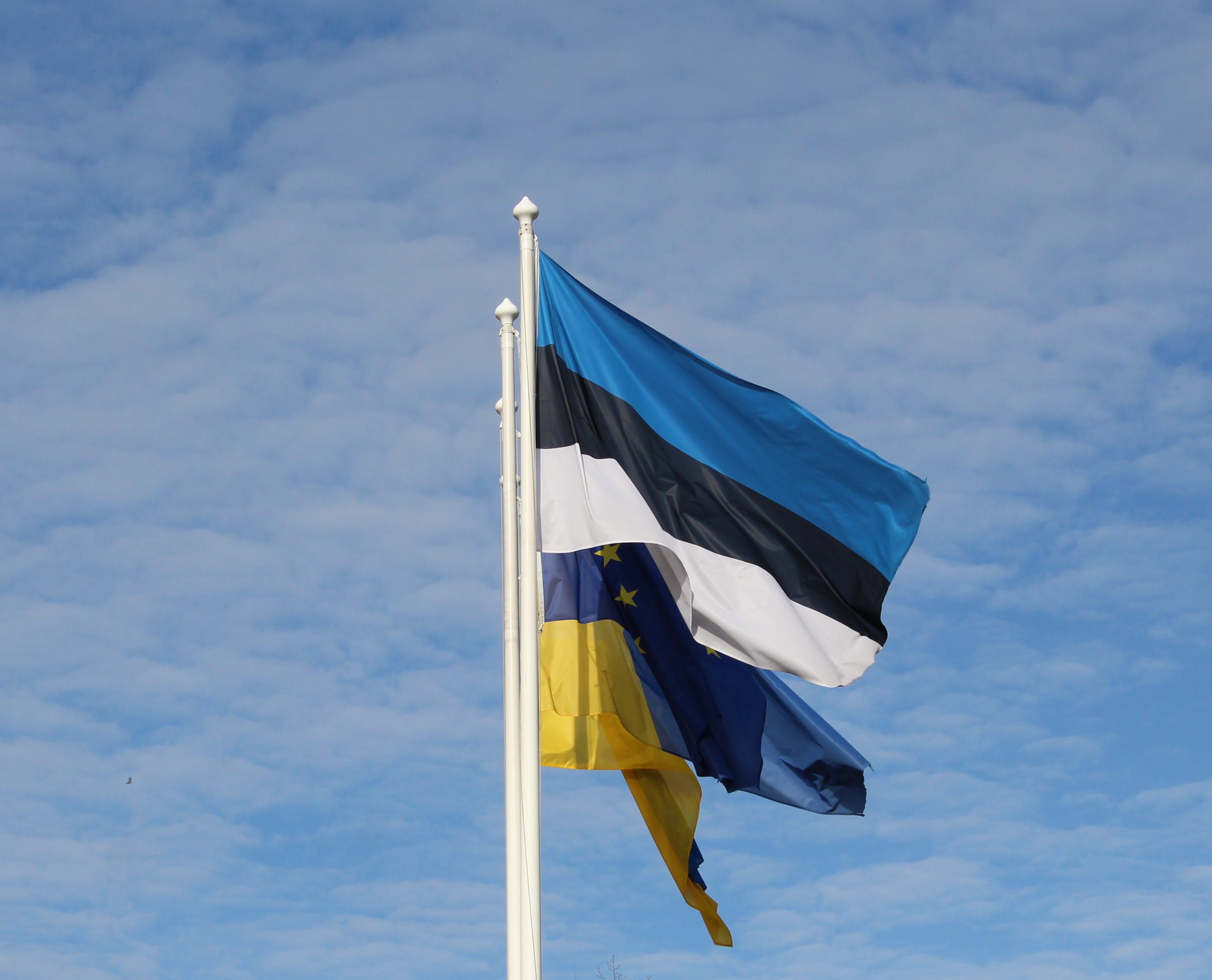 Жители шести областей Украины могут получить помощь от Эстонии: какую сумму выплат положено на семью