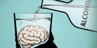 Алкоголь разрушает мозг со страшной силой: можно ли восстановить интеллект, отказавшись от спиртного полностью - today.ua