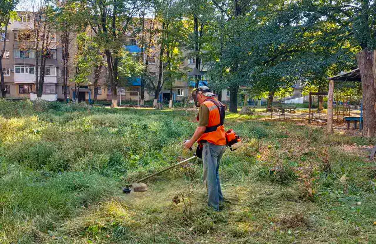 В Украине в 1,5 раза увеличили выплаты за выполнение общественных работ: сколько можно получать ежемесячно