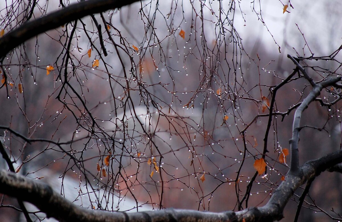 Снегопады утихнут: синоптики рассказали, когда в Украине потеплеет до +11 градусов