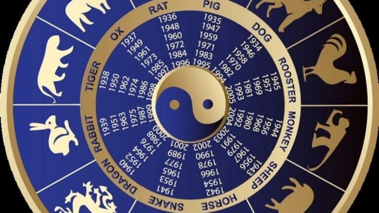 Свиньям повезет: китайский гороскоп определил четырех счастливчиков 2024 года - today.ua
