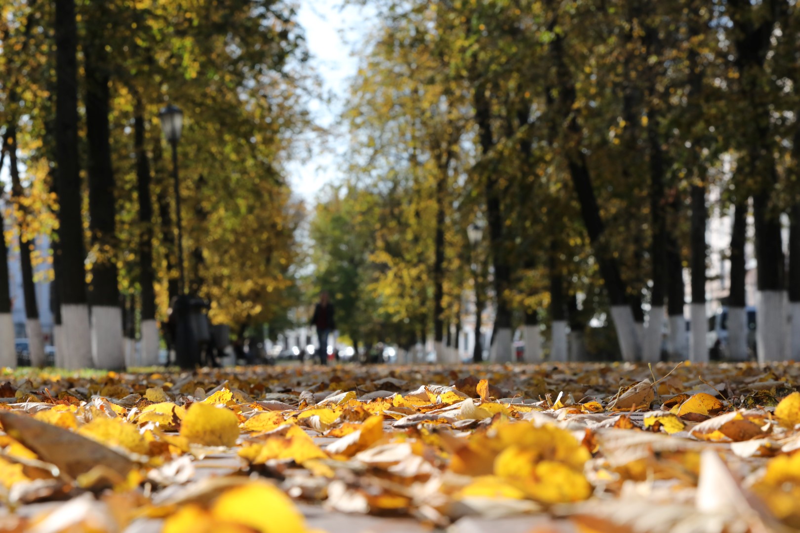 Дожди и аномальное потепление: синоптик обнародовал прогноз погоды в Украине на ближайшую неделю