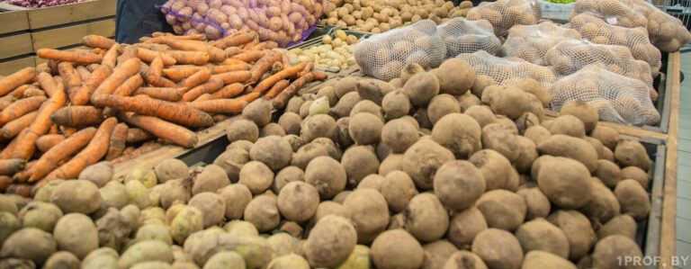Украинские супермаркеты изменили цены на картофель, капусту, лук и морковь в ноябре: где борщевой набор купить дешевле - today.ua