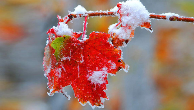 Украинцам осталось недолго радоваться теплой погоде: в страну идут снегопады