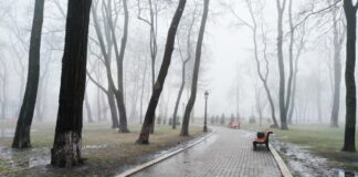 Україну накриє циклон з мокрим снігом: синоптик розповіла про погоду до кінця тижня - today.ua
