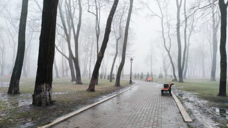 Україну накриє циклон з мокрим снігом: синоптик розповіла про погоду до кінця тижня - today.ua