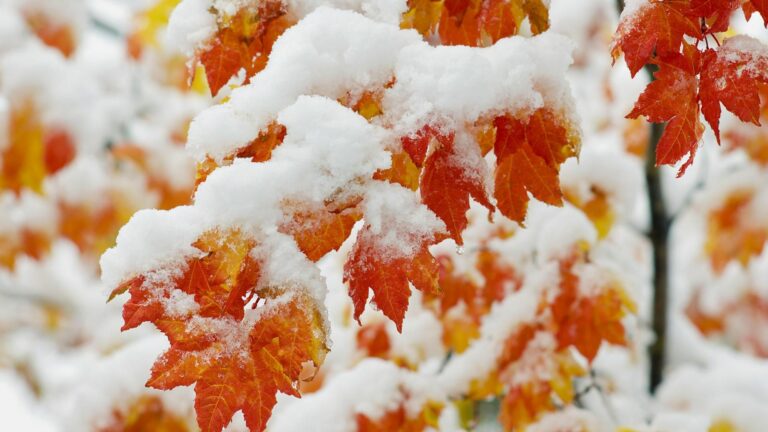 Украинцам осталось недолго радоваться теплой погоде: в страну идут снегопады - today.ua
