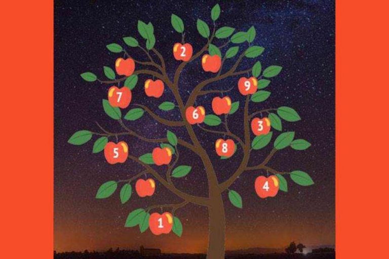Дерево желаний покажет, сбудется ли ваша мечта: интересный визуальный тест