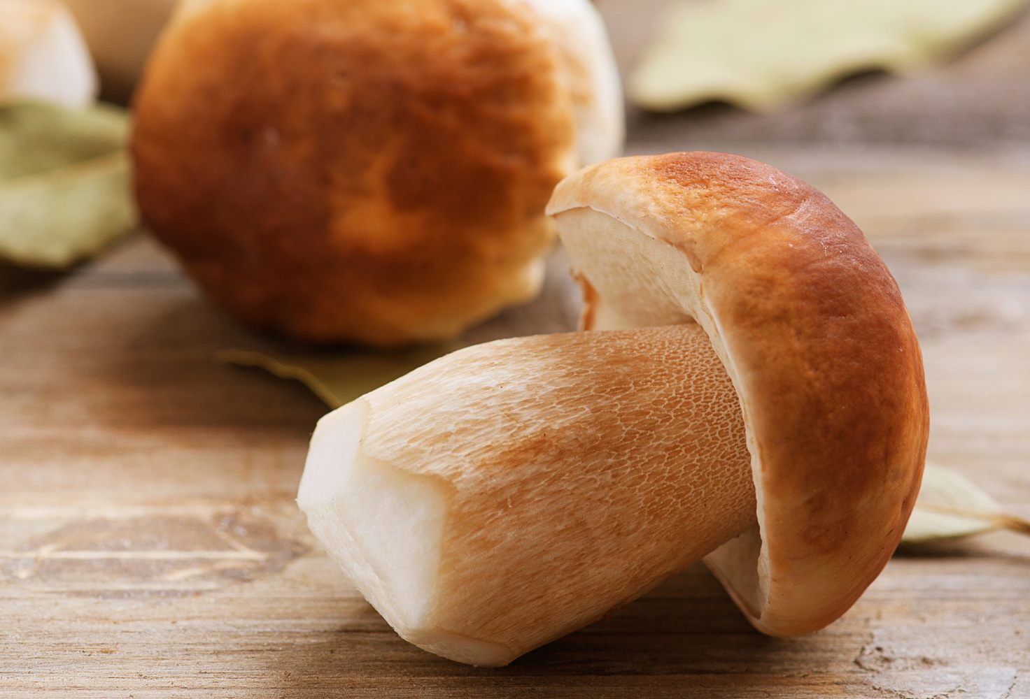 Грибная юшка по-закарпатски: рецепт вкусного и сытного супа с белыми грибами