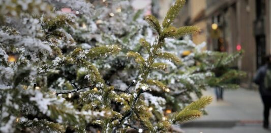 Якою буде погода в Україні на Різдво та Новий рік: синоптики розповіли, чи чекати снігу - today.ua