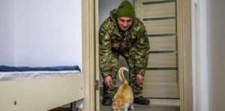 Компенсации на приобретение жилья военным: кто и какую сумму может получить - today.ua