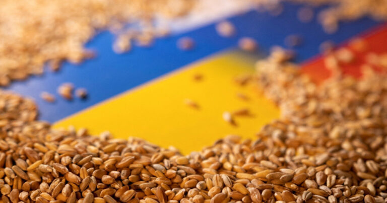 Поляки инициируют запрет на импорт продовольствия из Украины на два десятка лет - today.ua