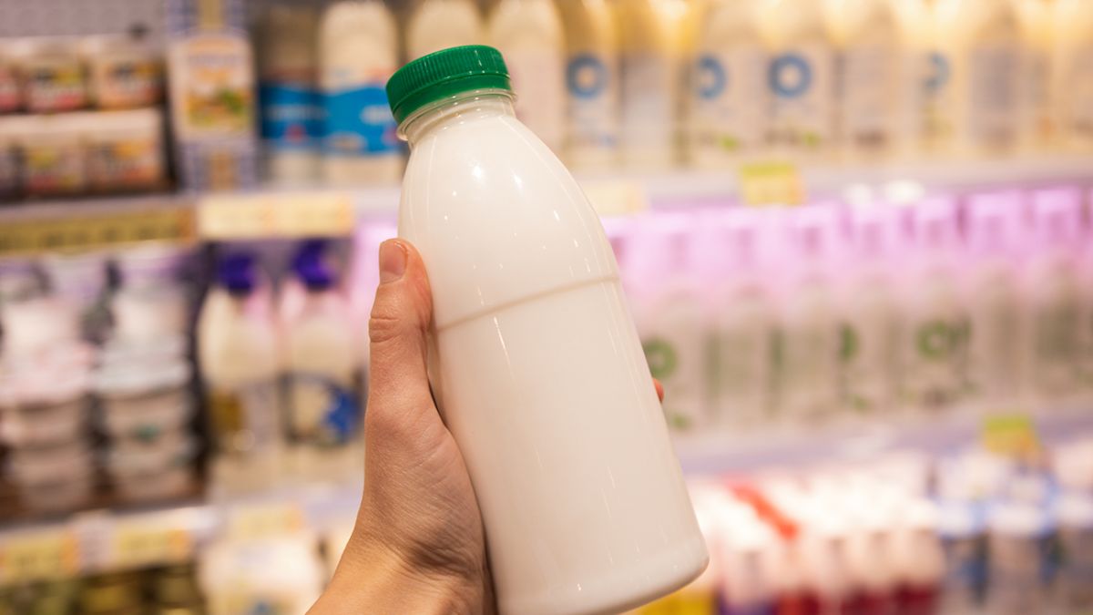 Украинские супермаркеты обновили цены на ряд популярных продуктов: молочку, соль и масло
