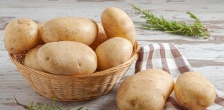 Скачок цен на картофель в Украине: чего ожидать потребителям в ближайшее время  - today.ua