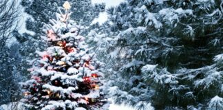 Мокрый снег, дождь и похолодание: синоптик прогнозирует ухудшение погоды в Украине накануне Рождества - today.ua