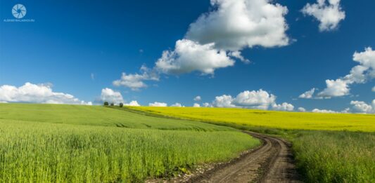 В Украине откроется рынок земли для юрлиц с 1 января: как это повлияет на стоимость участков - today.ua