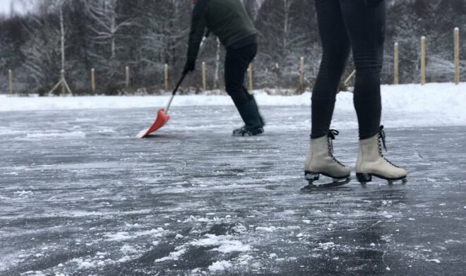 Потепління продовжиться недовго: синоптики розповіли, коли в Україні знову вдарять заморозки - today.ua