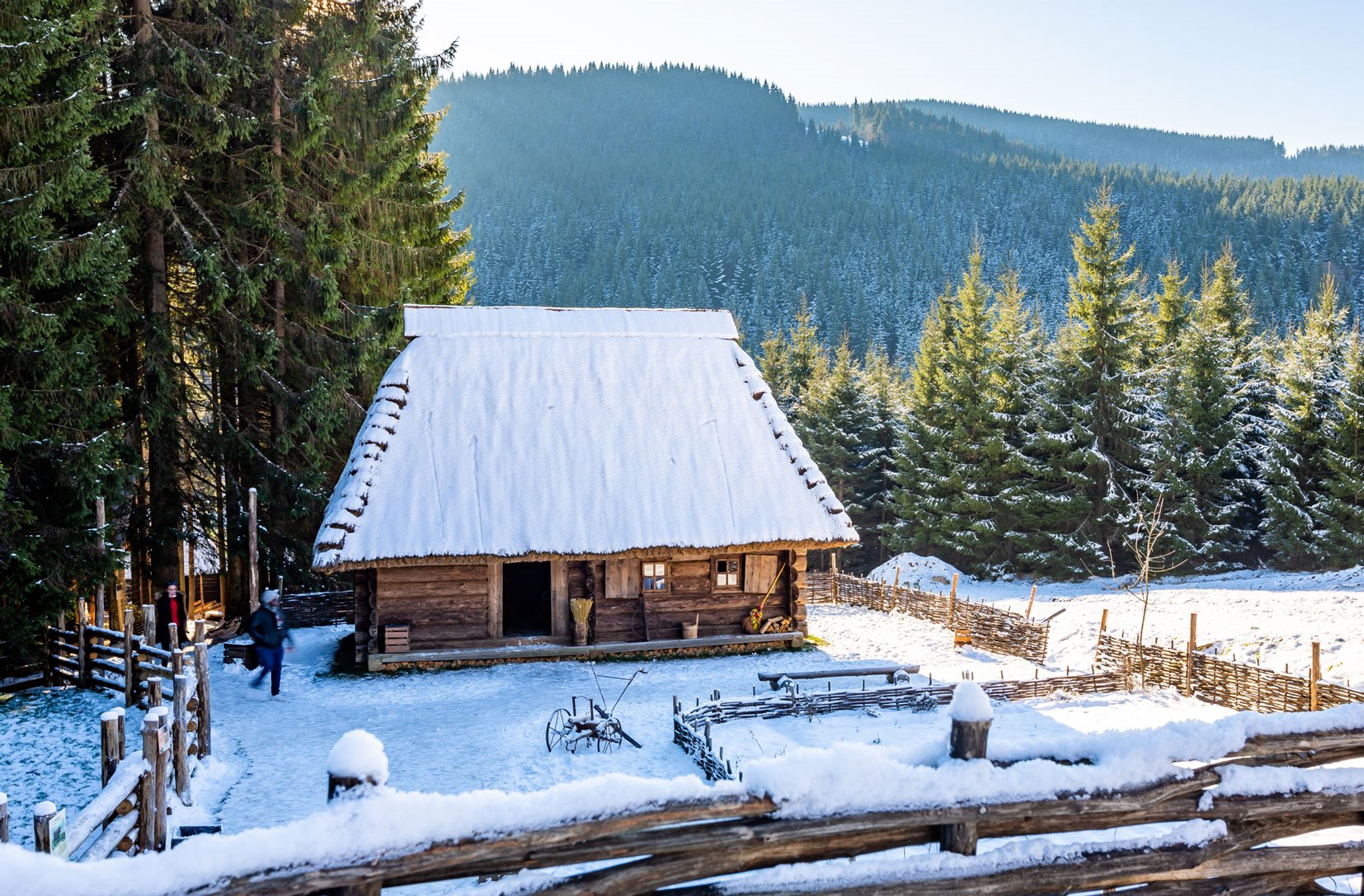 В Карпатах будинок з земельною ділянкою поряд із гірськолижним курортом продають за 5000 доларів