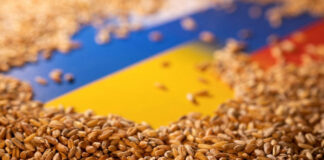 В польском правительстве заявили о бессрочном запрете на украинские продукты и блокаду границы - today.ua