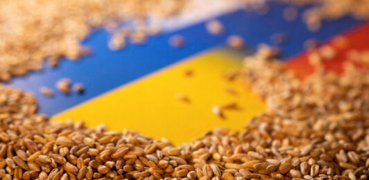 Поляки начали возвращать импортированные продукты обратно в Украину - today.ua